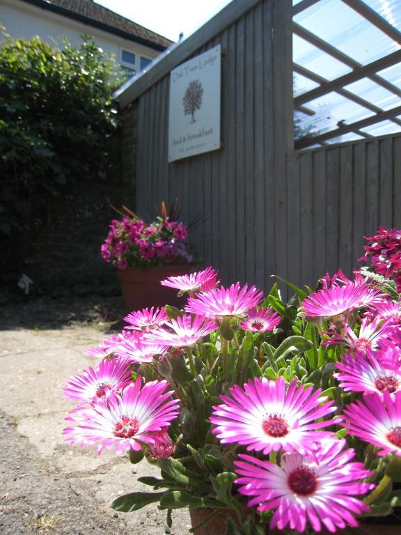 Oak Tree Lodge & Holiday Parking Burstow Exteriér fotografie
